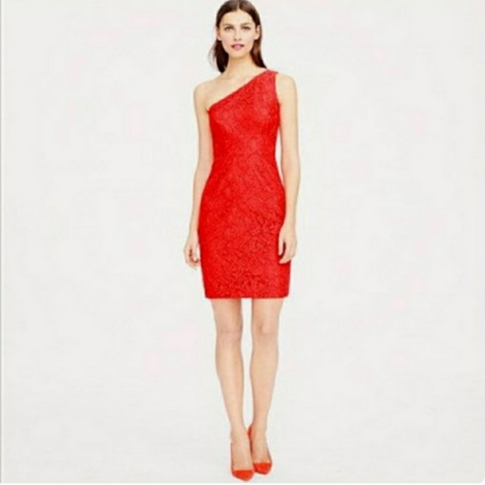 COPY - NWT J. Crew Alexa Dress in Leavers Lace - Picture 8 of 13